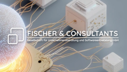 Fischer & Consultants GmbH